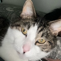 profile-image